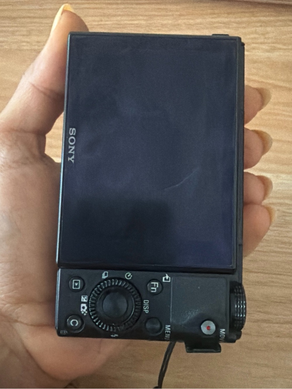 Sony Black Compact Digital Camera with Flip Screen